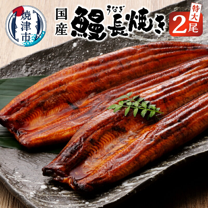 鰻 うなぎ 長焼き 冷凍 魚 焼津 2尾 セット たれ付き 国産 真空パック