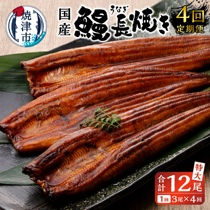 【ふるさと納税】 定期便 鰻 長焼き 冷凍 魚 焼津 【定期便 4回】 鰻 長焼き 特大 3尾 たれ付き 真空パック b10-058