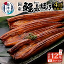 【ふるさと納税】 定期便 鰻 長焼き 冷凍 魚 焼津 【定期