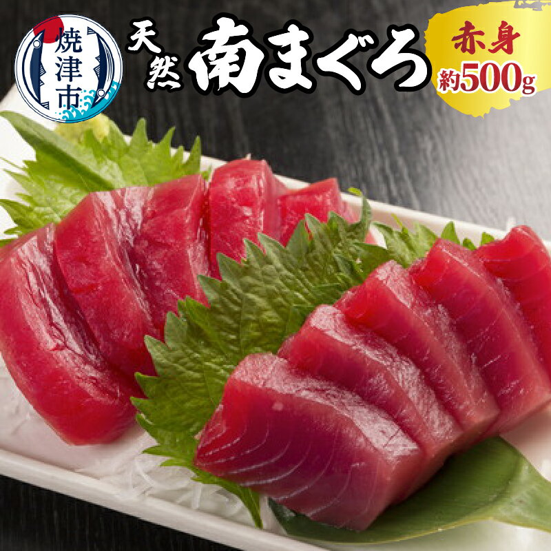 【ふるさと納税】 まぐろ 赤身 刺身 冷凍 天然 南まぐろ 約500g 魚 焼津 a10-244