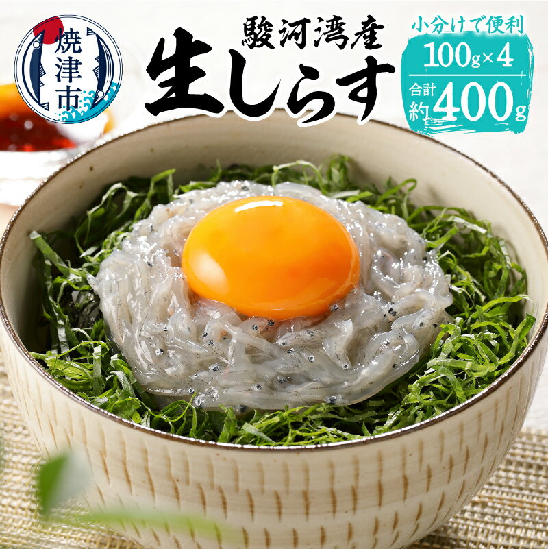 製品仕様 名称 生シラス（駿河湾）100g×4(a10-690) お礼品内容 駿河湾産生シラス：100g×4 産地 【産地】焼津市内【製造】焼津市内【加工】その他 天然・養殖 天然 期限表示 [賞味期限]冷凍（-18℃）で120日、解凍後冷蔵（10℃以下）で1日 アレルギー 28品目中：該当なし 原材料 生シラス（駿河湾） 申込期日 通年 発送方法 冷凍 お礼品説明 駿河湾で水揚げされた新鮮な生しらすを急速冷凍で閉じ込め、お届けします。静岡県の「しらす漁」は他県と比較し、漁場が沿岸から近くまた生産工場も水揚げされる港から近いため、鮮度の良い(お刺身用生シラス）お品がつくられます。食べる直前に流水ですぐに解凍できるので、簡単便利です。 注意事項・その他 製造者 提供：株式会社ニッコーサービス（焼津市八楠4-13-7焼津さかなセンター内） ・ふるさと納税よくある質問はこちら ・寄附申込みのキャンセル、返礼品の変更・返品はできません。あらかじめご了承ください。&nbsp;