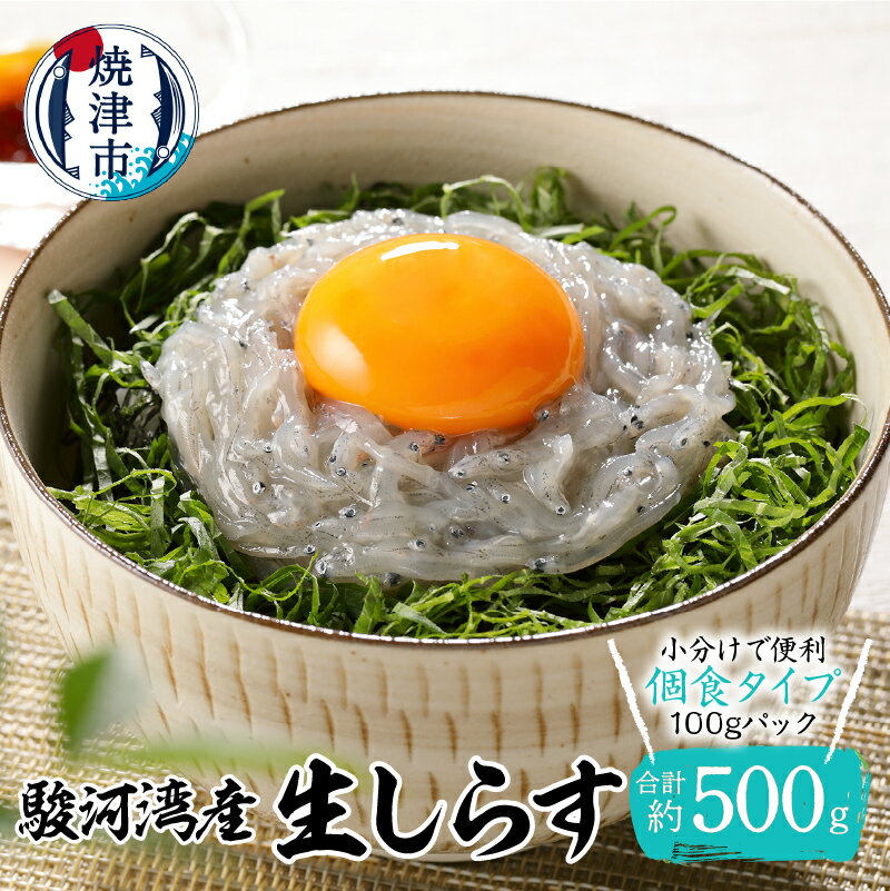 【ふるさと納税】 生しらす 刺身 冷凍 小分け 駿河湾産 約100g×5 天然 しらす おつまみ 魚 焼津 a11-111