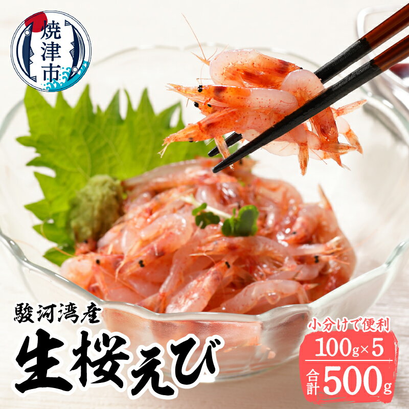 【ふるさと納税】 桜えび 生 刺身 魚 冷凍 天然 無添加 焼津 100g×5パック 駿河湾産 自然解凍 a17-073