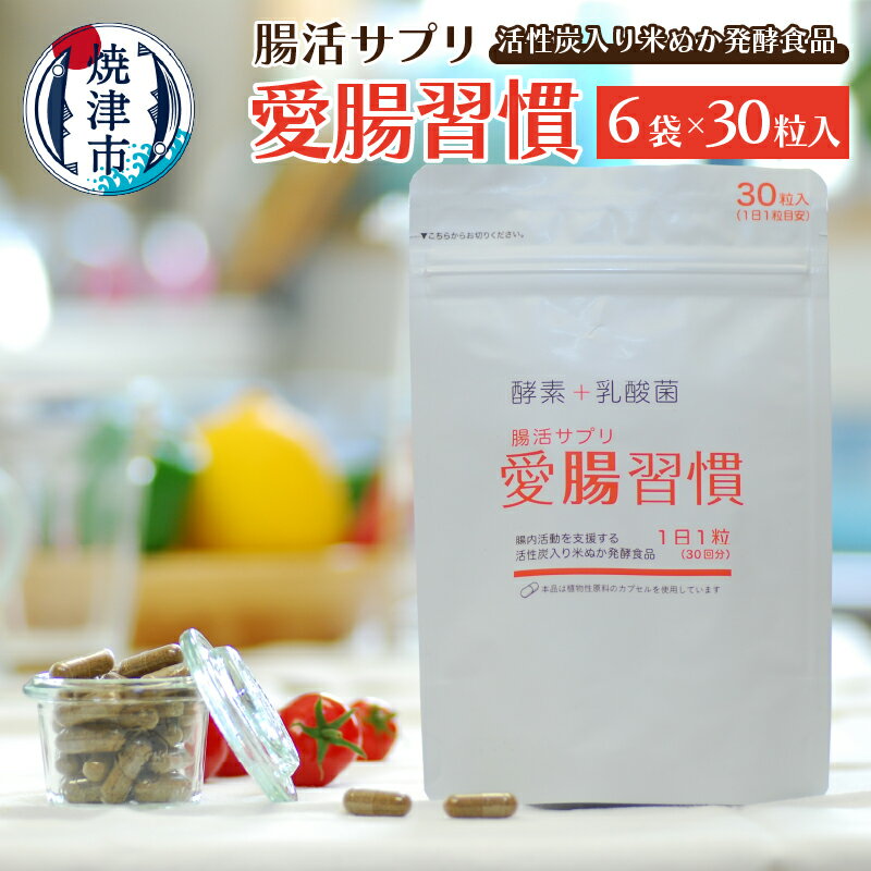 サプリ 腸活 酵素 乳酸菌 善玉菌 発酵食品 焼津 30粒×6袋 サプリメント 愛腸習慣