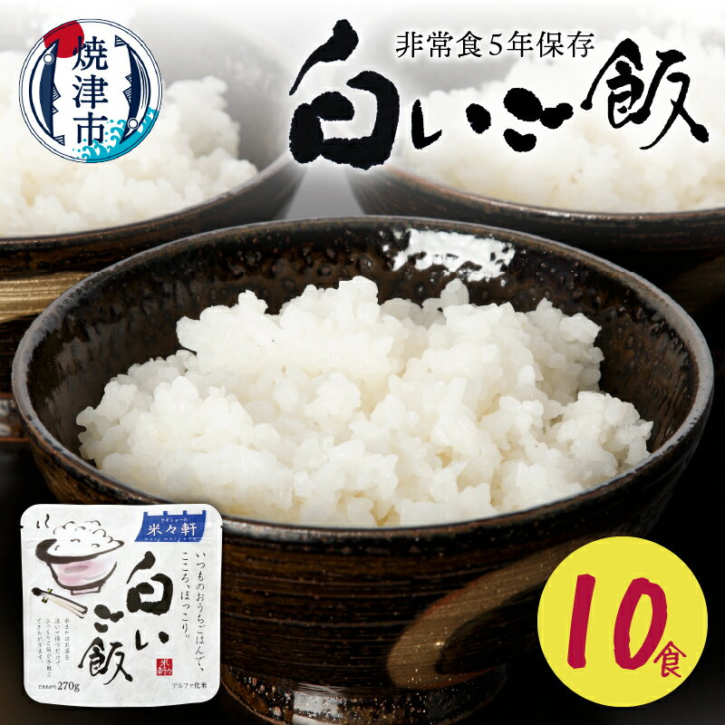 【ふるさと納税】 非常食 白飯 100g×10食 アウトドア キャンプ 米 アルファ化米 保存食 スプーン付 防災 備蓄 レジャー 5年保存 a10-987･･･