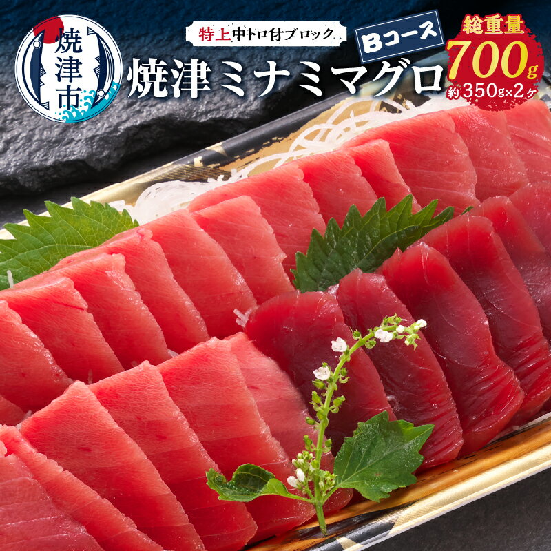 製品仕様 名称 焼津ミナミマグロBコース(a24-038) お礼品内容 内容量：約700g 内訳：特上ミナミマグロ中トロ付ブロック：約350g×2ヶ 期限表示 [賞味期限]発送後10日以内。到着後は家庭用冷凍庫にて保管ください。 産地 【産地】焼津市【製造】焼津市【加工】焼津市 天然・養殖 天然：ミナミマグロ アレルギー 28品目中：該当なし 発送方法 冷凍 お礼品説明 焼津ミナミマグロは、南半球の低水温海域を回遊し、国際的資源管理に基づく漁獲規制を受ける中、資源にやさしい「はえなわ漁法」により漁獲され、熟練した船上処理を施して超低温で急速冷凍した焼津漁協（焼津魚市場）が取扱う天然のミナミマグロで、調理しやすいサイズにカットし、皮や血合を取りました。 注意事項・その他 ※時期により内容等が変更になる場合がございます。 製造者 提供：焼津漁業協同組合（焼津市城之腰269番地の9） ・ふるさと納税よくある質問はこちら ・寄附申込みのキャンセル、返礼品の変更・返品はできません。あらかじめご了承ください。&nbsp;