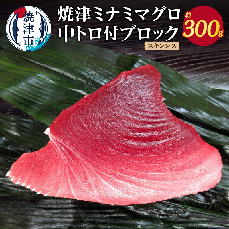 【ふるさと納税】 まぐろ ブロック ミナミマグロ 中トロ付ブ...