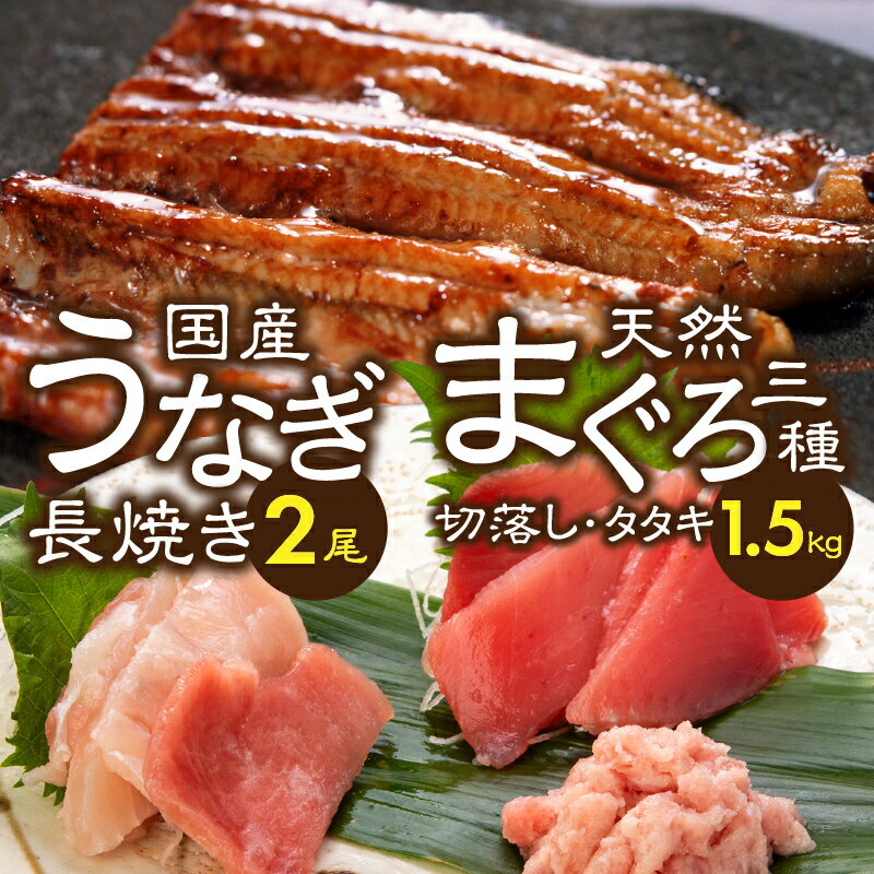 【ふるさと納税】 家計応援 うなぎ まぐろ 真空パック 冷凍 小分け 総重量約1.9kg 国産 長焼き 2尾 バチマグロ切り落とし ビンチョウマグロ切り落とし まぐろたたき 各500g 魚 焼津 a30-205