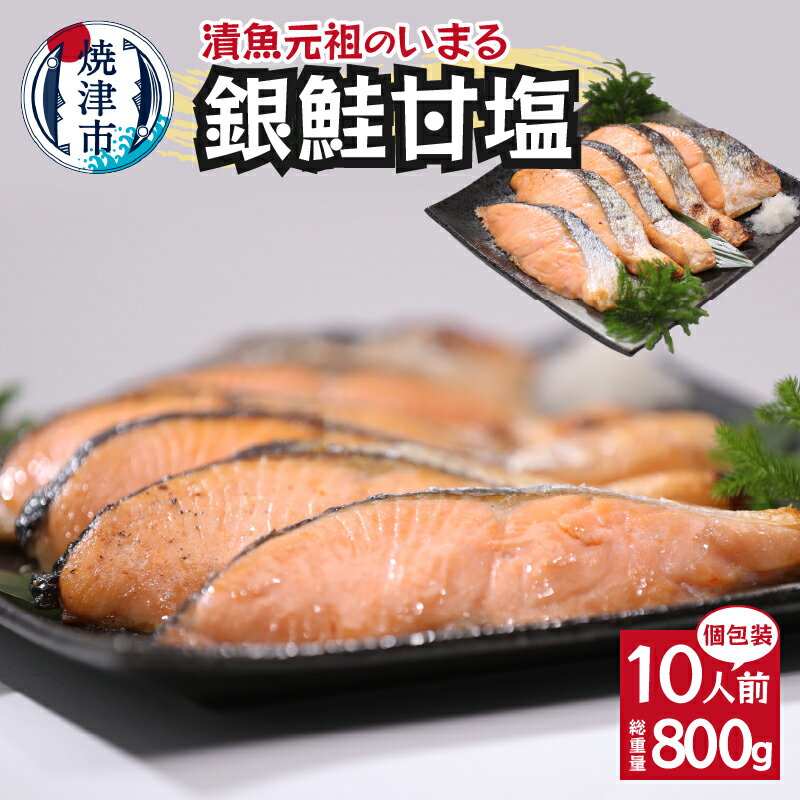 鮭 銀鮭 切り身 魚 冷凍 焼津 甘塩 80g×10パック 個包装 真空パック a10-1008