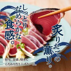 【ふるさと納税】 かつお たたき 魚 冷凍 焼津 約2kg かつおたたき 炭火焼き 一本釣り ポン酢タレ付き a10-863 画像2