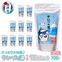 【ふるさと納税】 入浴剤 やいづの湯 大袋 温泉の素 焼津 100回分 約250g×10個 計量スプーン入り 大容量 温泉 やいちゃん a24-029