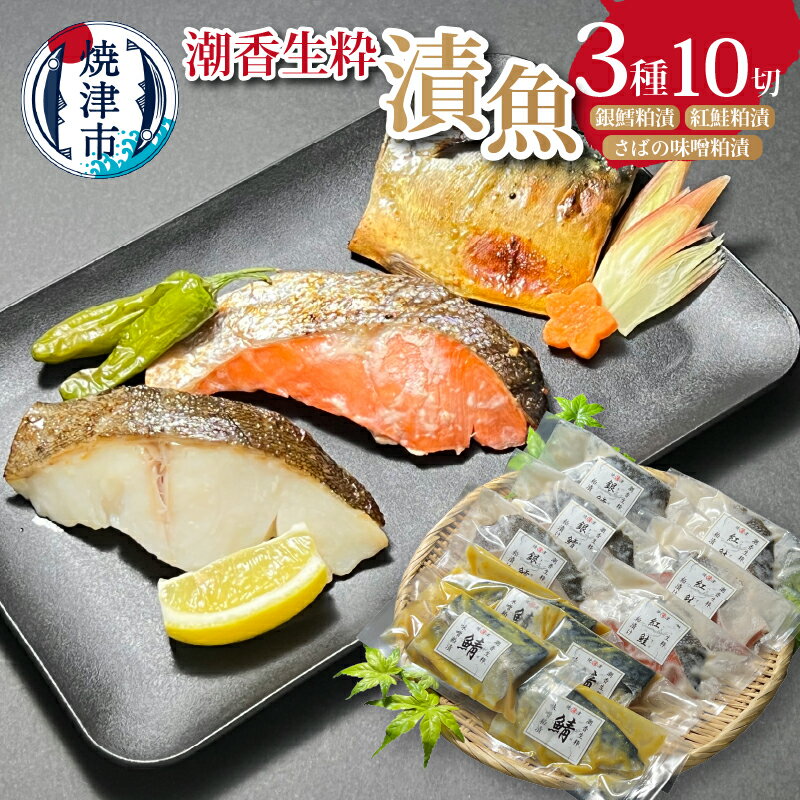 漬魚 銀鱈 紅鮭 鯖 詰合せ 魚 冷凍 粕漬 味噌粕漬 酒肴 天然 個包装 焼津 計10切