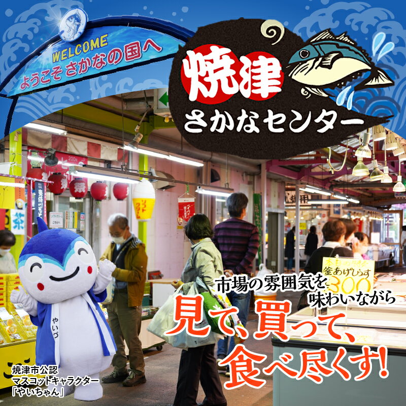 【ふるさと納税】 まぐろ 中トロ 天然 約1.6kg 冷凍 柵 ビンチョウ鮪 目鉢鮪 セット 魚 焼津 a38-001 2