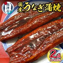 【ふるさと納税】 うなぎ 国産 蒲焼き 冷凍 焼津 約200g×2尾 たれ・山椒付き スギヤマ a15-337