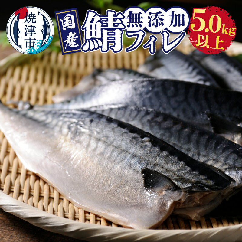 さば 鯖 フィレ 国内産 熟成 無添加 天然 魚 焼津 無塩 5.0kg以上