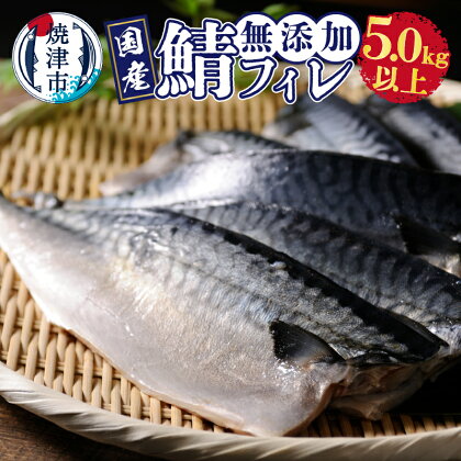 さば 鯖 フィレ 国内産 熟成 無添加 天然 魚 焼津 無塩 5.0kg以上 a24-033