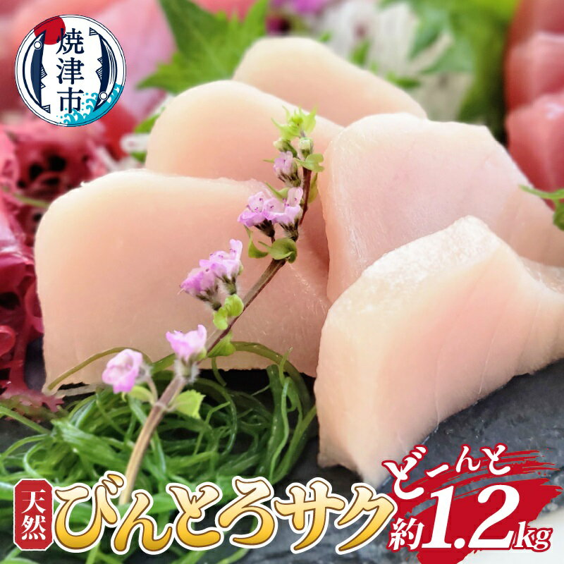 【ふるさと納税】 まぐろ びんとろ 天然 柵 ビンチョウ 約1.2kg 業務用 魚 冷凍 焼津 a10-1048