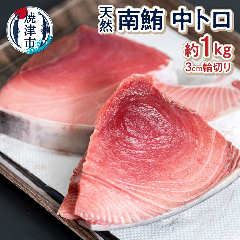 【ふるさと納税】 数量限定 まぐろ 中トロ 天然 南鮪 約1kg 刺身 おつまみ おかず 冷凍 魚 焼津 a30-265