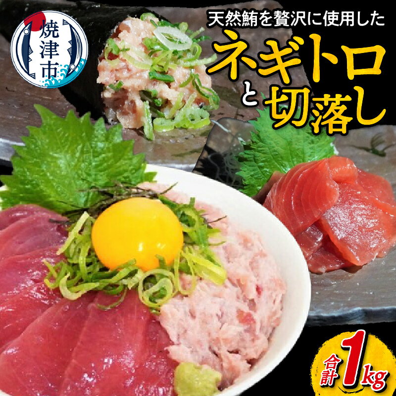 ネギトロ まぐろ 切り落とし セット キハダマグロ 天然 小分け 計1kg 冷凍 魚 焼津