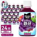 【ふるさと納税】 ミニッツメイド ぎゅっ！とフルーツ グレープブレンド 280ml 24本入 1ケース 鉄分 ポリフェノール 水分補給 果実飲料 ジュース ドリンク 飲料 ペットボトル コカ コーラ a15-594