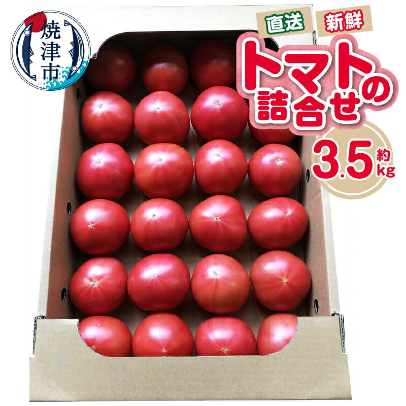 【ふるさと納税】 トマト 詰合せ 約3.5kg 野菜 農園直