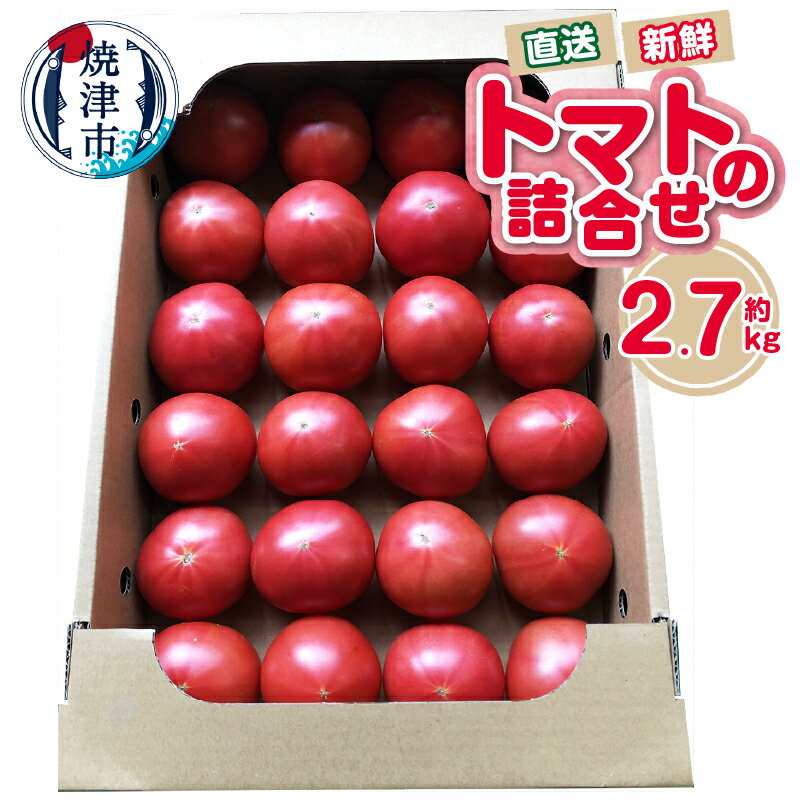トマト 詰合せ 約2.7kg 野菜 農園直送 新鮮 青果 焼津