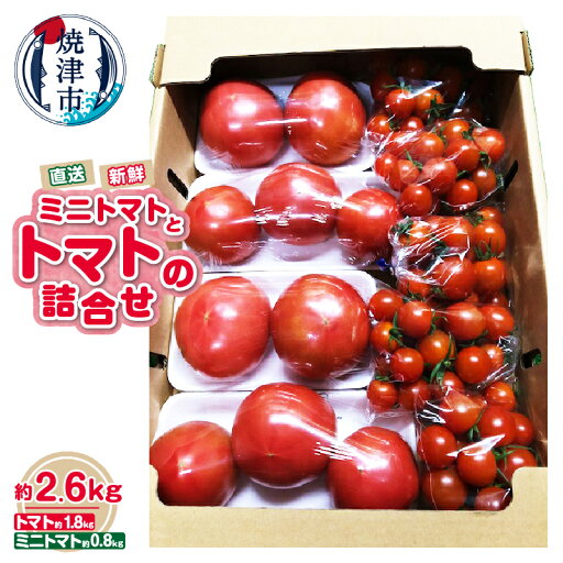 【ふるさと納税】 トマト ミニトマト 詰合せ 計約2.6kg 農園直送 セット 野菜 青果 新鮮 焼津 a11-121 【ふるさと納税】 トマト ミニトマト 詰合せ 計約2.6kg 農園直送 セット 野菜 青果 新鮮 焼津 a11-121