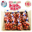 【ふるさと納税】 ミニトマト 詰合せ 約1.6kg 野菜 青果 農園直送 新鮮 焼津 a11-122