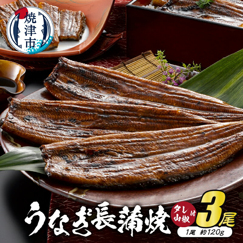 うなぎ 鰻 冷凍 焼津 うなぎ長蒲焼 約120g×3尾 たれ・山椒 3袋 静岡産 うなぎ長蒲焼「静生旅鰻」