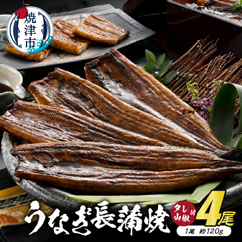 【ふるさと納税】 うなぎ 鰻 冷凍 焼津 うなぎ長蒲焼 約120g×4尾 たれ・山椒 4袋 静岡産 うなぎ長蒲焼「静生旅鰻」 a40-070