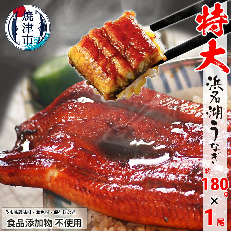 うなぎ 蒲焼 特大 食品添加物不使用 浜名湖産 約180g×1尾 山椒・タレ付 化粧箱入 焼津 a10-1044