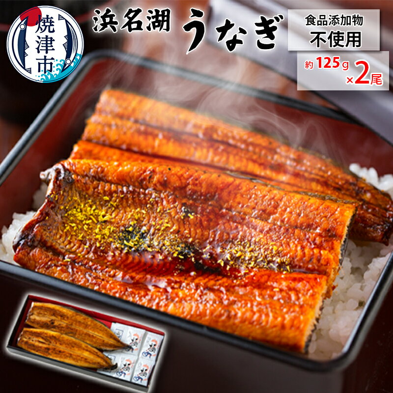 うなぎ 蒲焼 食品添加物不使用 浜名湖産 約125g×2尾 山椒・タレ付 化粧箱入 焼津