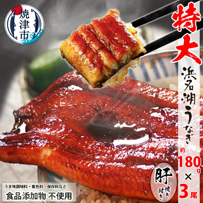 うなぎ 蒲焼 特大 食品添加物不使用 浜名湖産 約180g×3尾 肝焼 約50g×1 タレ 山椒付 化粧箱入 焼津