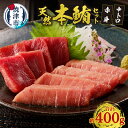  まぐろ 中トロ 赤身 柵 冷凍 約400g 鮪専門問屋 天然 本鮪 詰め合わせ 焼津 a17-020