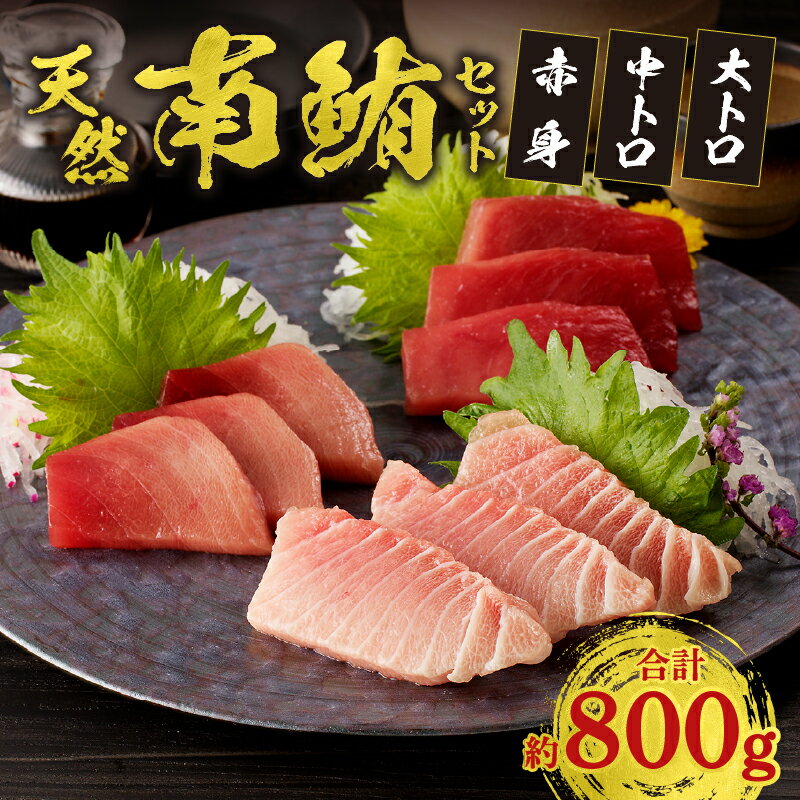 【ふるさと納税】 まぐろ 大トロ 中トロ 赤身 柵 冷凍 約800g 天然南鮪 セット 焼津 a40-076