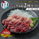 【ふるさと納税】 マグロ 天然 南まぐろ 中トロ 赤身セット 各約250g 合計約500g 特級醤油付 冷凍 焼津 a21-085