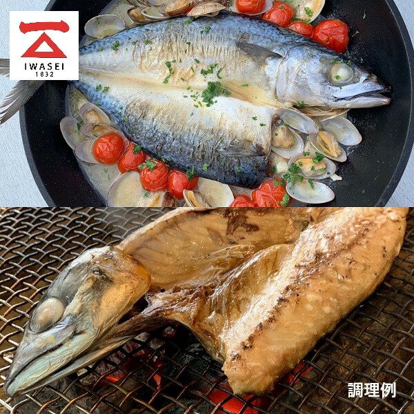 20位! 口コミ数「0件」評価「0」 さば 塩鯖 アレンジ 焼魚 焼津 魚 冷凍 6枚セット 国産 塩サバ 真空 6尾 個包装 贈答 a15-551