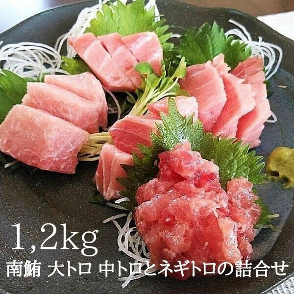 【ふるさと納税】 まぐろ 大トロ 中トロ ネギトロ 赤身 海鮮丼 寿司 刺身 天然南鮪の詰合せ 約1.2kg 魚 焼津 a30-228