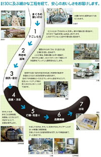 猫、ねこ、ネコ、(=^・^=)ちゃん