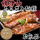 【うなぎ】【ふるさと納税】353-089 最高金賞「駿河大五郎」2尾