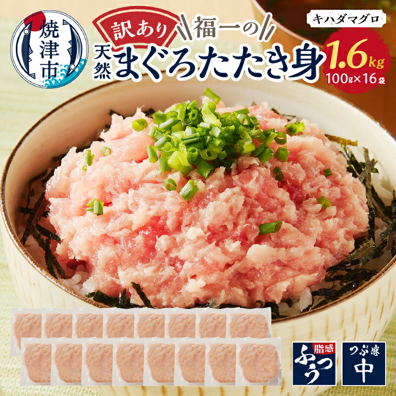 【ふるさと納税】 【発送時期が選べる】 訳あり ねぎとろ まぐろたたき 冷凍 100g×16 小分け パック 天然 まぐろ 簡単調理 流水解凍 魚 焼津 a10-973のサムネイル