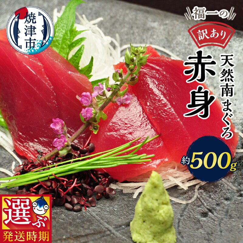 [発送時期が選べる] 訳あり まぐろ 刺身 天然 南マグロ 魚 冷凍 焼津 赤身 約500g 天身 選べるお届け月 ご自宅用 a10-1078