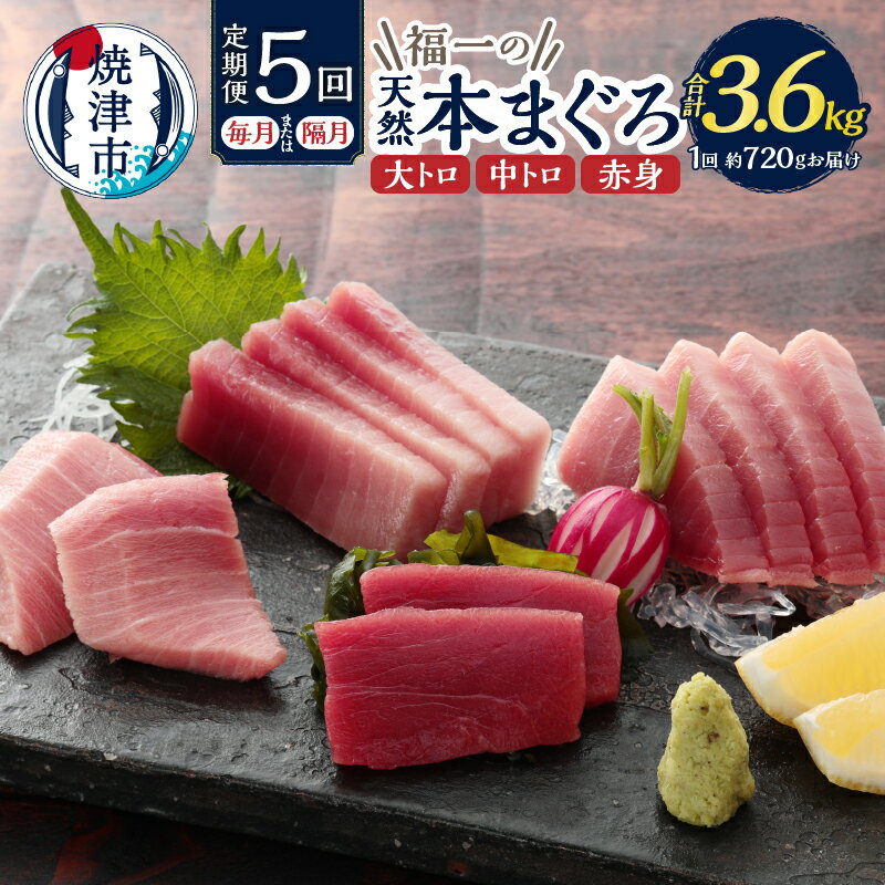 【ふるさと納税】 定期便 マグロ 大トロ 中トロ 赤身 天然本マグロ 冷凍 焼津 半年間お届けコース【定期便5回連続、隔月選べる】(b200-036)