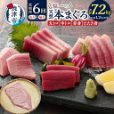 6位! 口コミ数「1件」評価「5」 定期便 マグロ 大トロ 中トロ 天然本マグロ 冷凍 焼津 半年間お届けコース【定期便6回連続、隔月選べる】（b30-015）