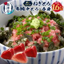 【ふるさと納税】 まぐろ 中トロ 鮪 赤身 刺身 南鮪 約1.1kg ねぎとろ約100g×5袋 セット 計1.6kg 魚 焼津 寿司・海鮮丼に a34-005