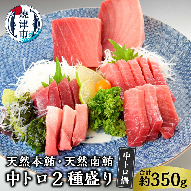 【ふるさと納税】 まぐろ 中トロ ミナミマグロ 天然 本鮪 天然南鮪 食べ比べ 二種盛り セット 約350g 魚 焼津 a25-047のサムネイル