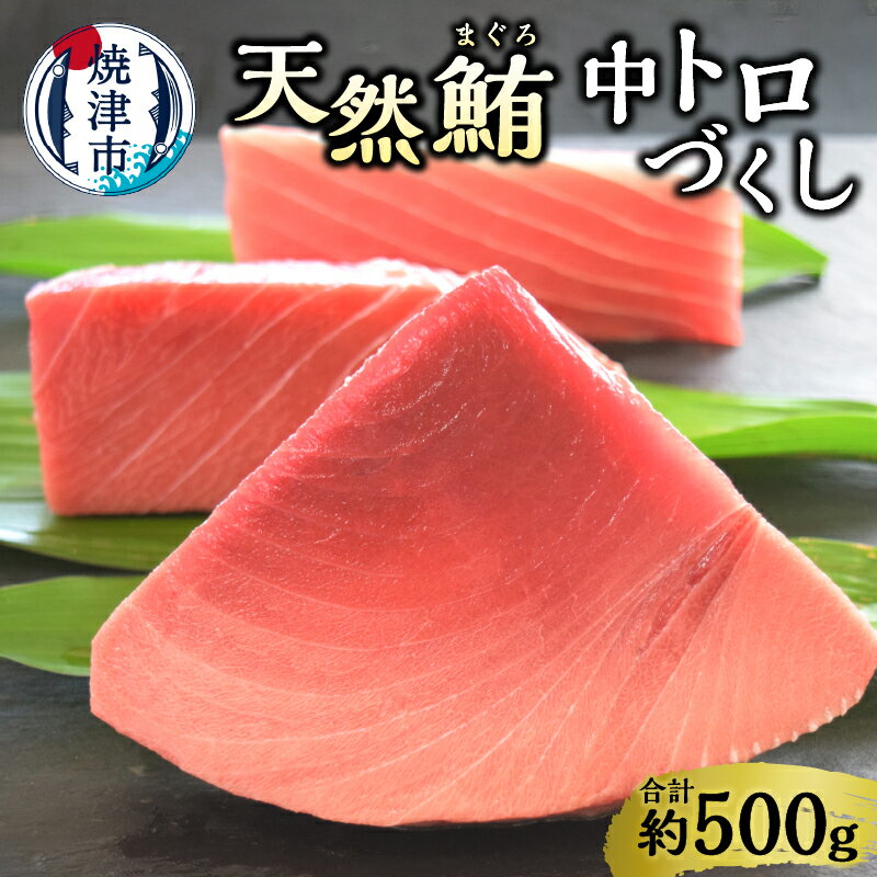 【ふるさと納税】 まぐろ 中トロ 本鮪 南鮪 目鉢鮪 刺身 天然 鮪づくし 計500g 魚 焼津 寿司・海鮮丼に a20-215