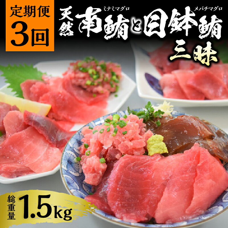 【ふるさと納税】 定期便 まぐろ ネギトロ 中トロ 冷凍 魚 焼津 海からの贈り物 天然 鮪 三昧 南鮪 目鉢鮪 3回 お届け 【定期便 3回】 a30-232