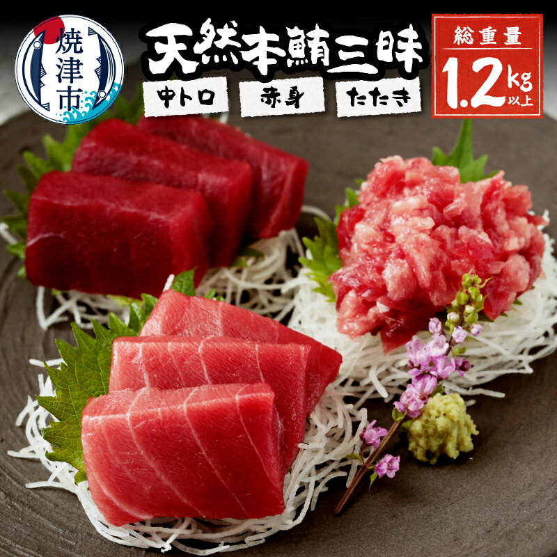 まぐろ 中トロ 赤身 切り落とし たたき 刺身 寿司 海鮮丼 総重量約1250g! 天然 本鮪三昧 魚 焼津