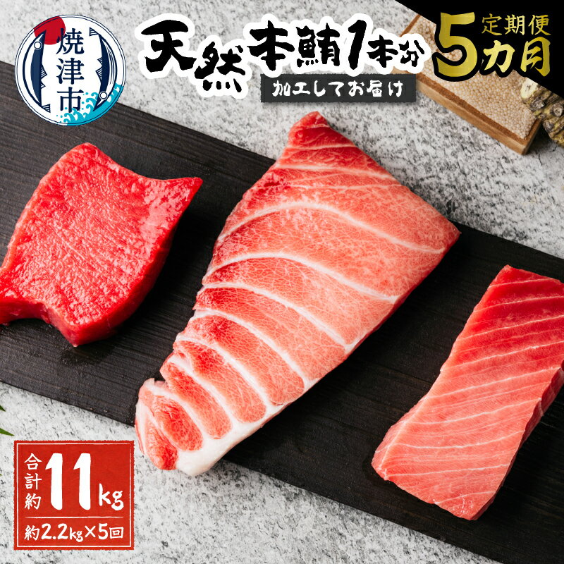 【ふるさと納税】 定期便 まぐろ 魚 冷凍 焼津 大トロ 中トロ 赤身 まぐろたたき 総量約2kg 【定期便5..